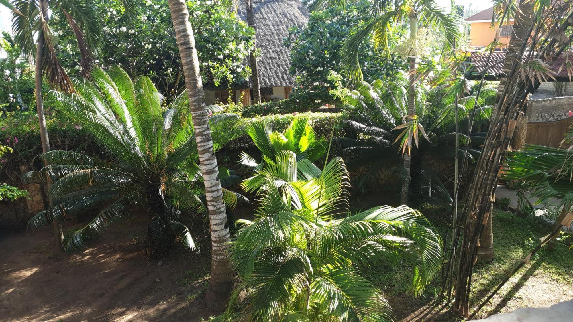 Marijani Holiday Resort Watamu Buitenkant foto