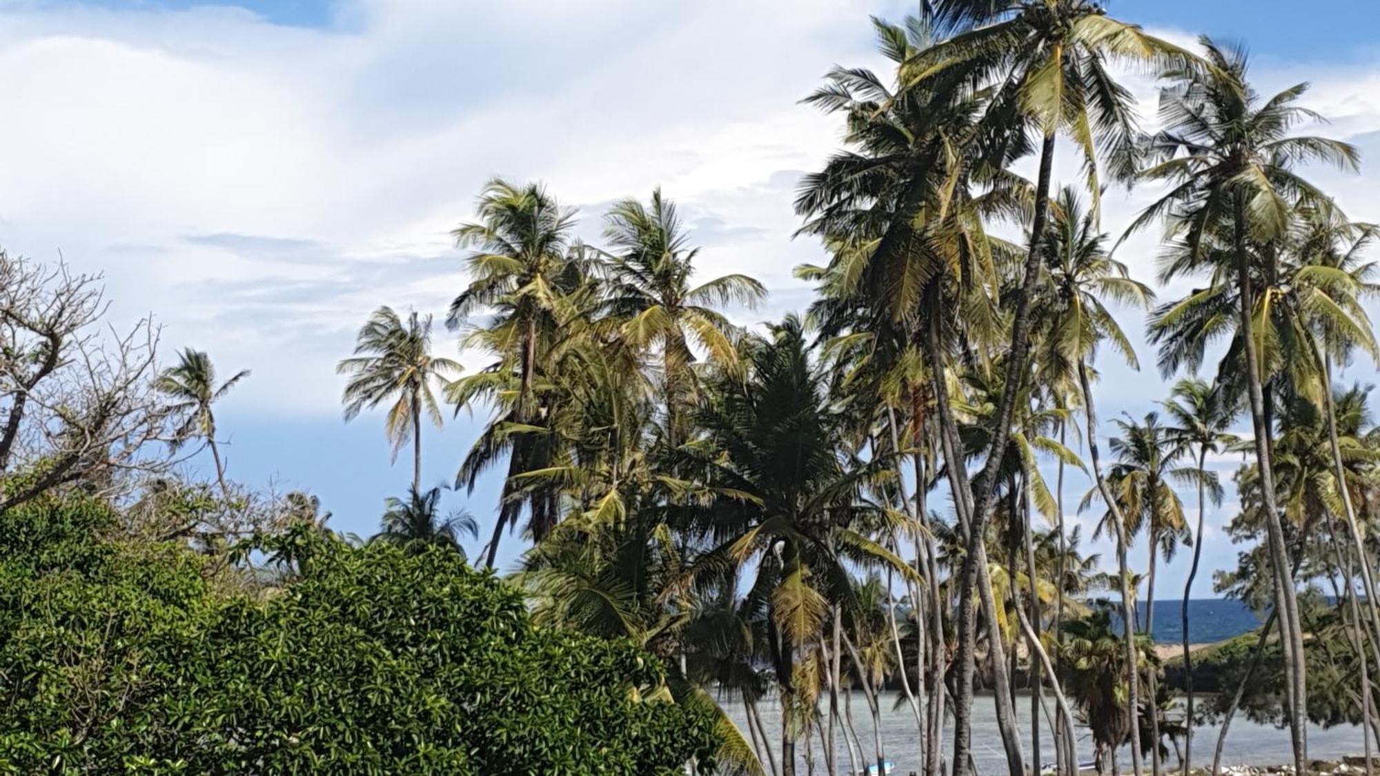 Marijani Holiday Resort Watamu Buitenkant foto